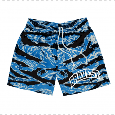 Unisex high-quality mesh shorts FO22-SH023